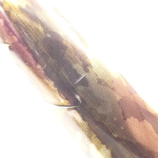 ２１硬派 大鮎９０・Ｎ